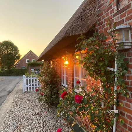 別荘 Haus 25 In Oldsum